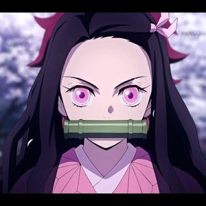 Meet your Posher, Dolores